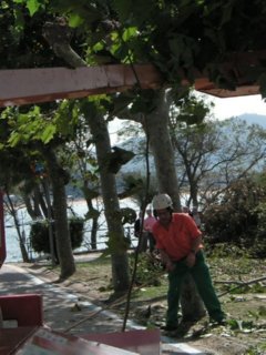 Z JARDINERIA (2)